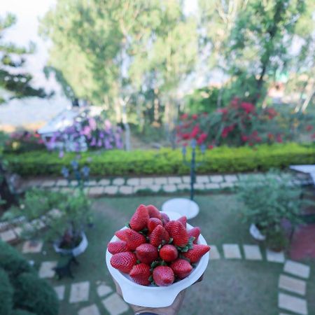 Valleycrest Villa With Swimming Pool マハバレシュワール エクステリア 写真
